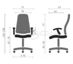 Крісло керівника Альбі тканина